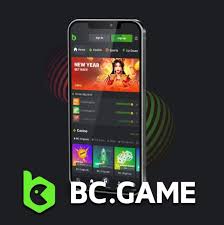 Experience the Thrill of Casino BC Game.vc